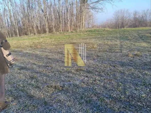 Prodaja, plac, 1900m², Beočin, Srbija - image 1