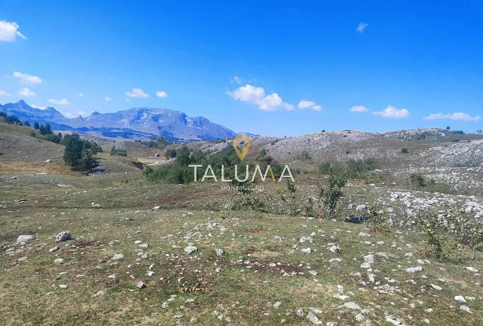 Prodaja, plac, 65000m², Žabljak, Crna Gora