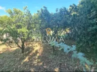 Prodaja, plac, 1658m², Kumbor, Herceg Novi - image 4