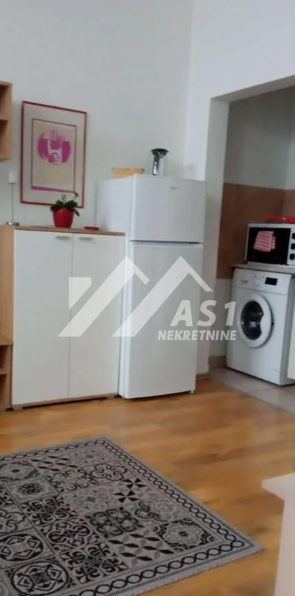 Izdavanje, stan, 25m², Centar, Novi Sad