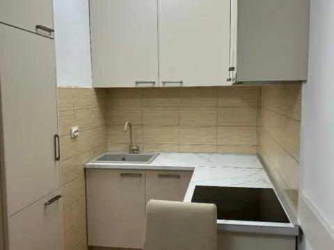 Izdavanje, jednosoban stan, 45m², Tuški Put, Podgorica - image 11