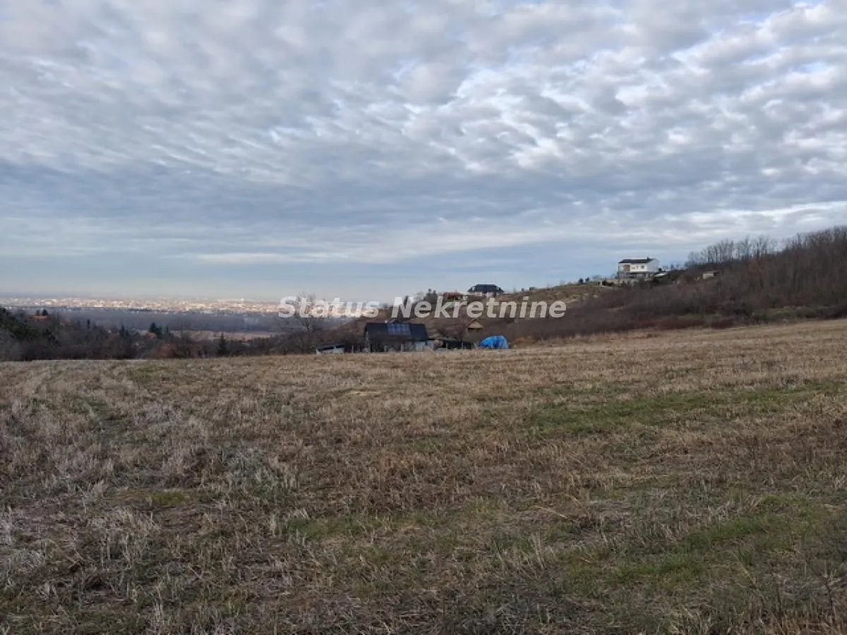Prodaja, plac, 14994m², Ledinci, Petrovaradin
