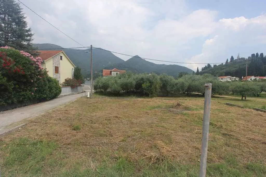 Travnati plac okružen kućama i drvećem.