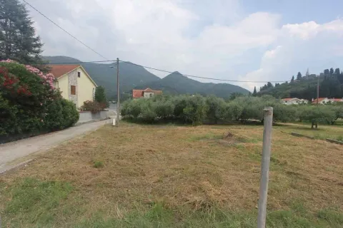 Travnati plac okružen kućama i drvećem. - image 5