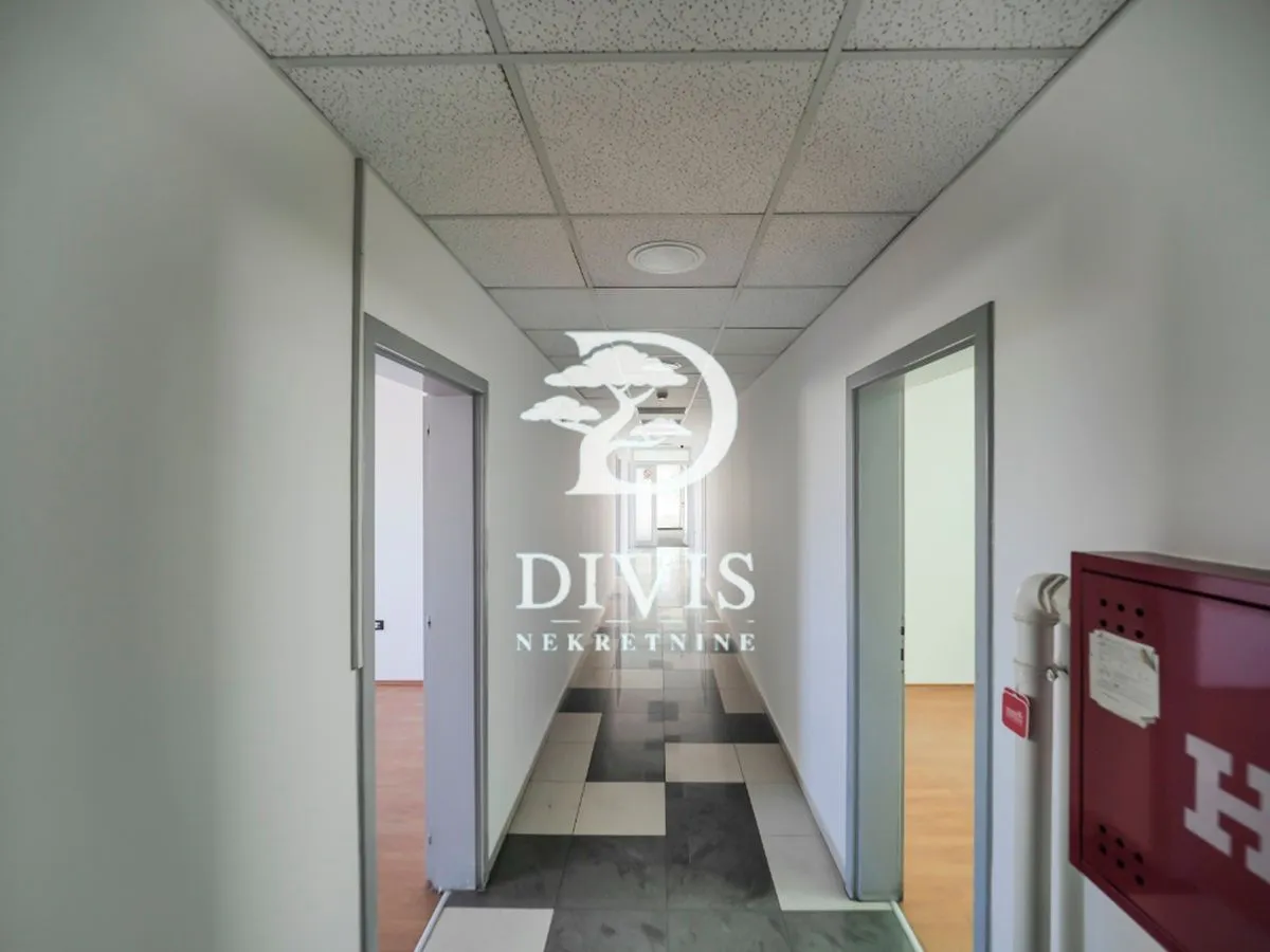 Rent, office space, 216m², Zemun Gornji Grad, Zemun Sve Podlokacije