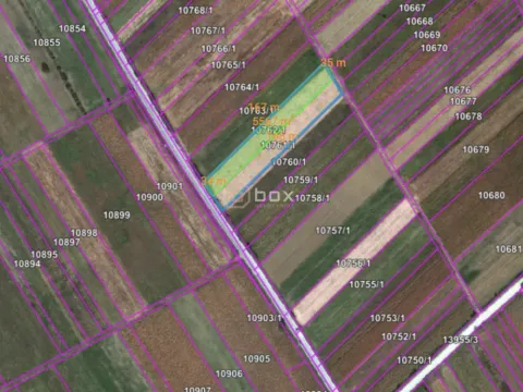 Sale, land lot, 5800m², Dobrujevac, Boljevac - image 2