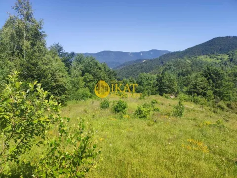 Sale, land lot, Tara, Srbija