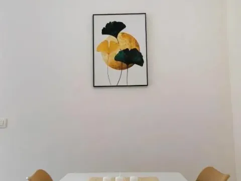 Izdavanje, jednosoban stan, 45m², Budva, Crna Gora - image 11