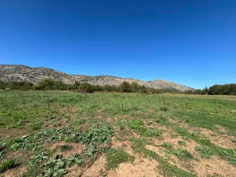 Sale, land lot, 9569m², Botun, Podgorica - image 3