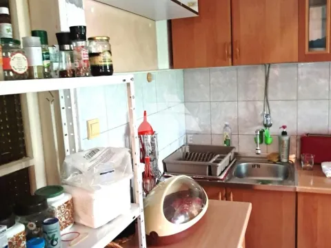 Sale, house, 52m², Uciteljsko Naselje, Zvezdara Sve Podlokacije - image 3