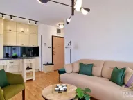 Prodaja, jednosoban stan, 41m², Velji Vinogradi, Budva - image 4