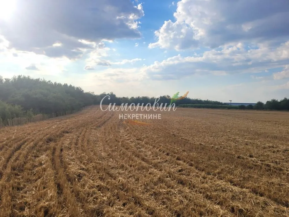 Prodaja, plac, 18100m², Krnješevci, Stara Pazova