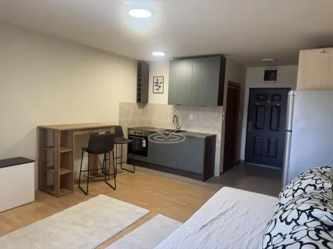 Izdavanje, jednosoban stan, 30m², Adamovićevo Naselje, Novi Sad Sve Podlokacije - image 3