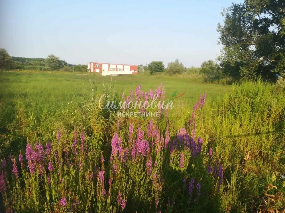 Prodaja, plac, 7200m², Krnjaca, Palilula Sve Podlokacije