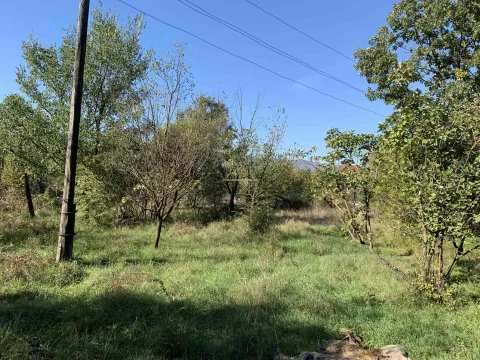 Prodaja, plac, 1500m², Daljam, Danilovgrad - image 3