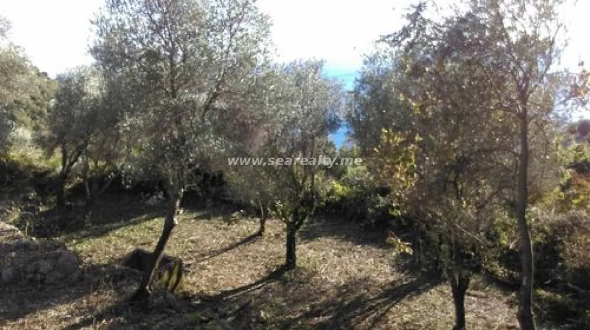 Prodaja, plac, 400m², Reževići, Budva
