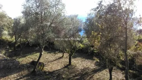 Prodaja, plac, 400m², Reževići, Budva - image 5