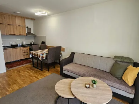 Rent, one bedroom apartment, 41m², Zabjelo, Podgorica - image 1