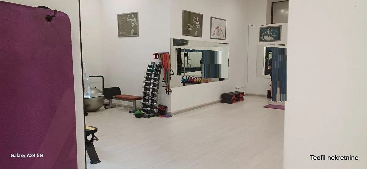 Prodaja, poslovni prostor, 1000m², Vračar, Šid