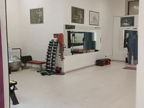 Prodaja, poslovni prostor, 1000m², Vračar, Šid - image 2