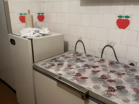 Prodaja, dvosoban stan, 53m², Pantelej, Niš - image 10