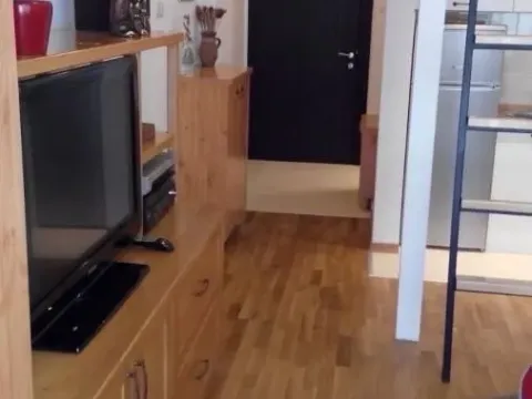 Izdavanje, jednosoban stan, 33m², Novi Sad, Srbija - image 4