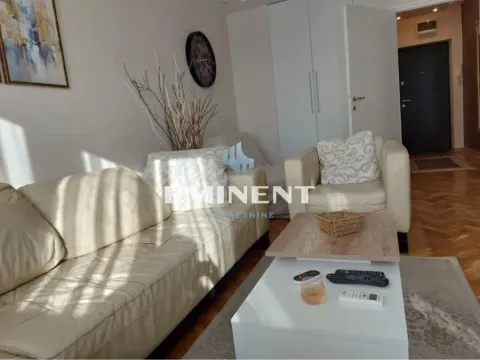 Izdavanje, dvosoban stan, 45m², Lion, Zvezdara Sve Podlokacije - image 11