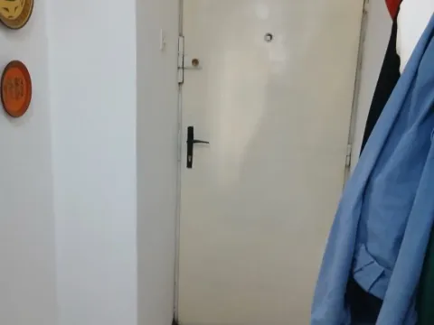 Izdavanje, dvosoban stan, Cetinje, Crna Gora - image 6