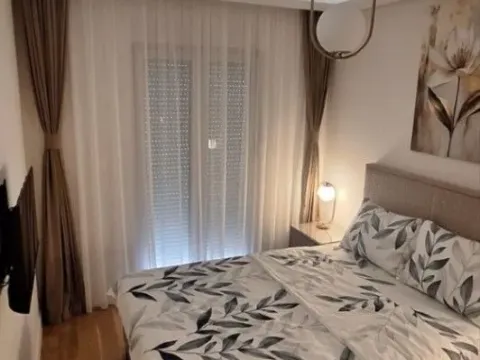 Izdavanje, jednosoban stan, 49m², Central Point, Podgorica - image 9