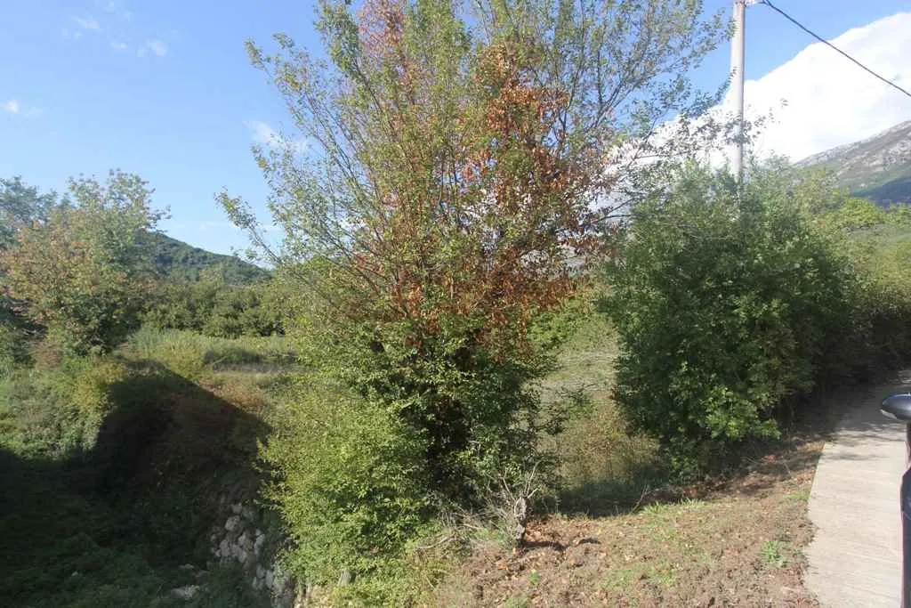 Zemljište okruženo zelenilom i drvećem pored puta.