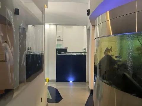 Izdavanje, poslovni prostor, 70m², Rotkvarija, Novi Sad Sve Podlokacije