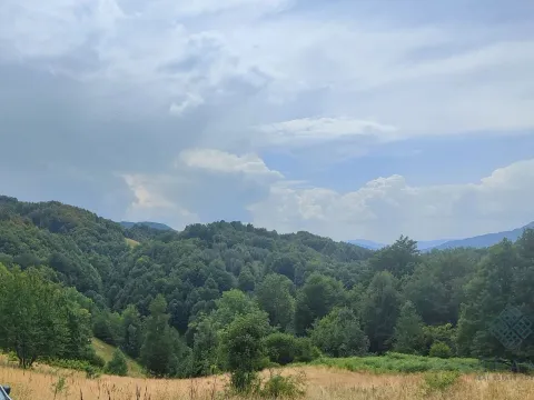 Prodaja, plac, 1300m², Rovačko Trebaljevo, Kolašin - image 2