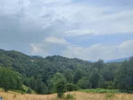 Sale, land lot, 1300m², Rovačko Trebaljevo, Kolašin - image 2