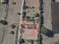 Sale, land lot, 1800m², Tološi, Podgorica - image 2