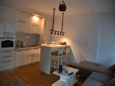 Izdavanje, jednosoban stan, 50m², Budva, Crna Gora - image 10