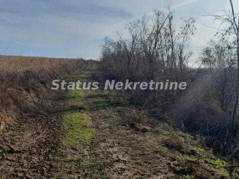 Prodaja, zemljište, 130m2, Beočin Prodaja, zemljište, 130m2, Beočin