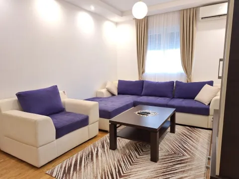 Rent, one bedroom apartment, 42m², Vezirov Most, Podgorica - image 1