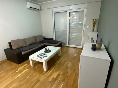 Izdavanje, jednosoban stan, 43m², Zabjelo, Podgorica - image 9