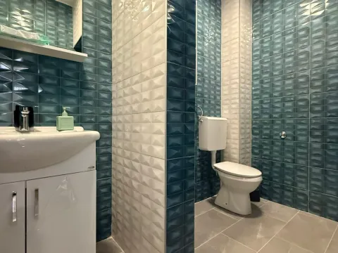 Izdavanje, kuća, 320m², Podgorica, Crna Gora - image 10