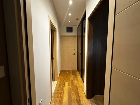 Izdavanje, jednosoban stan, 53m², Kod Capital Plaze, Podgorica - image 4