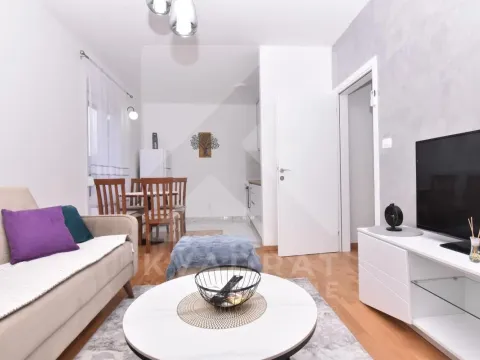 Izdavanje, jednosoban stan, 47m², Zagorič, Podgorica - image 3
