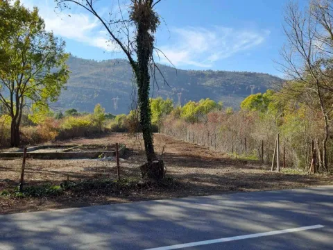 Prodaja, plac, 1955m², Podgorica, Crna Gora - image 2