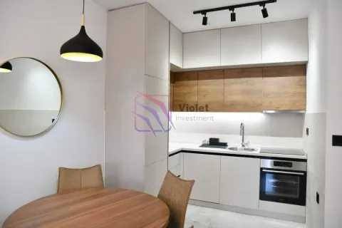 Rent, one bedroom apartment, 48m², Ljubović, Podgorica - image 4