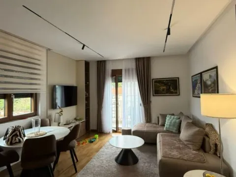 Izdavanje, jednosoban stan, 47m², Zagorič, Podgorica - image 10