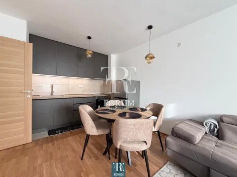 Izdavanje, jednosoban stan, 40m², Stari Aerodrom, Podgorica - image 4