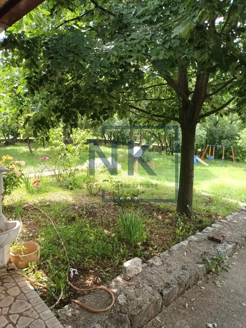 Pogled na zeleno dvorište sa velikim drvetom i dječijim igralištem u pozadini.