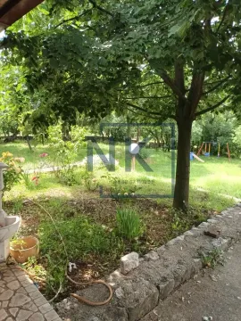 Pogled na zeleno dvorište sa velikim drvetom i dječijim igralištem u pozadini. - image 4