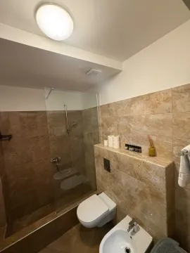 Kupatilo obloženo keramičkim pločicama sa tuš kabinom, toaletom i bideom. - image 12