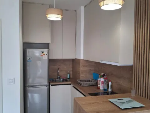 Izdavanje, stan, 35m², Zabjelo, Podgorica - image 6