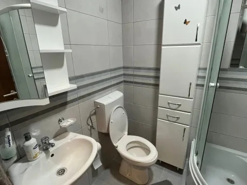Izdavanje, garsonjera, 26m², Tuški Put, Podgorica - image 4